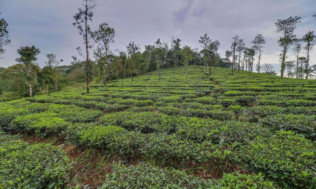 Moss Adams Inn Vagamon Exterior photo